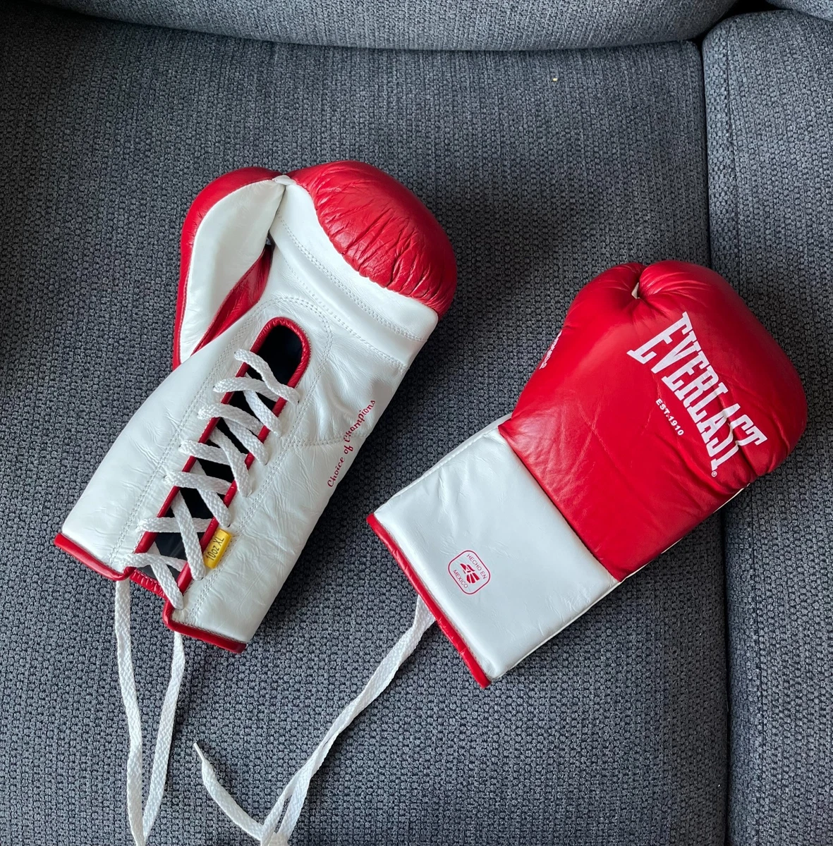 Everlast 10 oz. Weight Boxing Gloves for sale | eBay