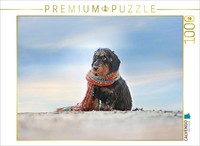 "Calvendo Puzzle An Image From The \"The Dachshund\" Calendar | 1000 Pieces, Finish"