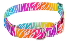 Country Brook Petz® Fashion Zebra Martingale Dog Collar
