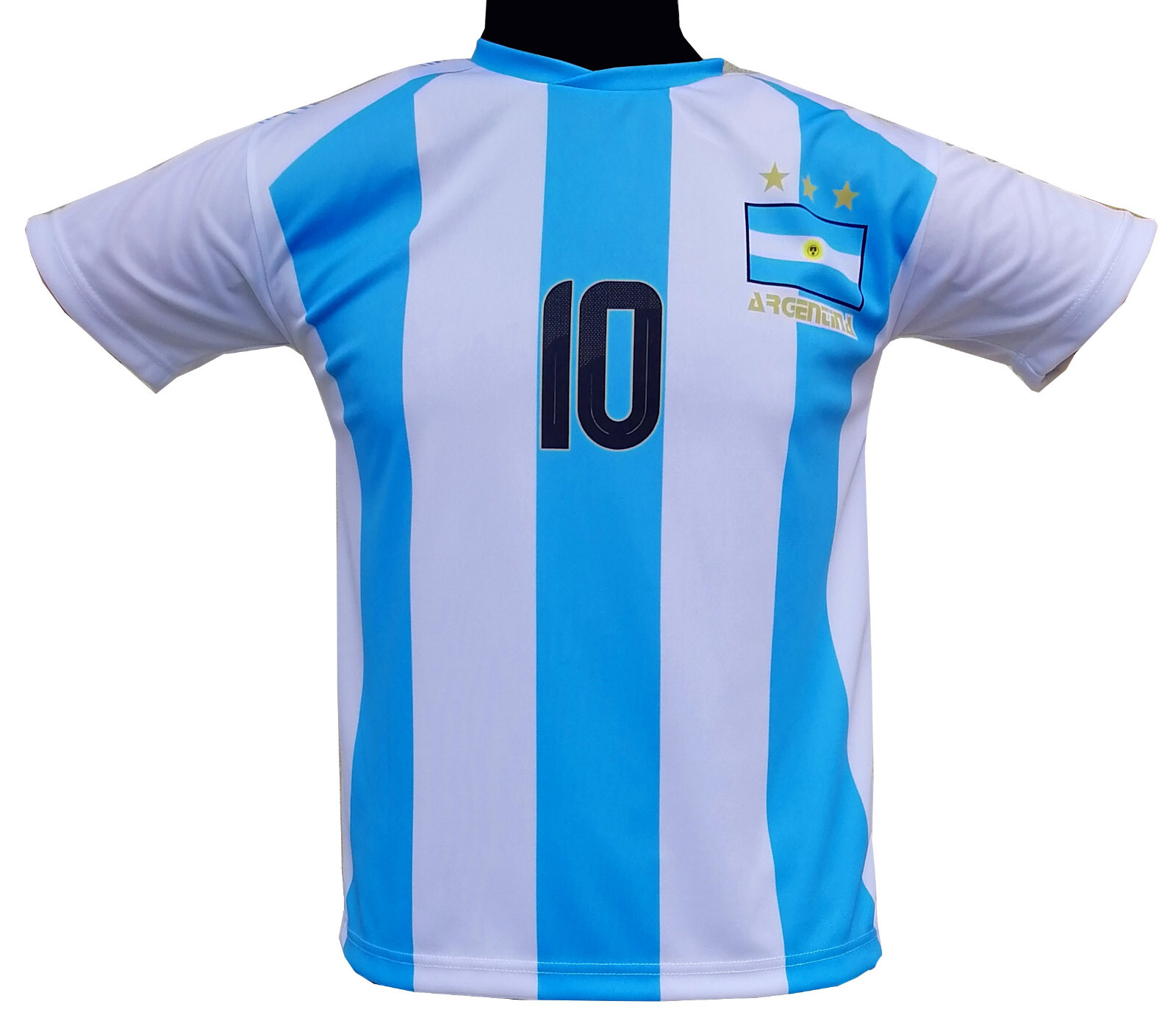 Imagen 6 de 10