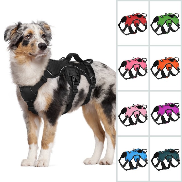 Rabbitgoo Escape Proof Dog Harness