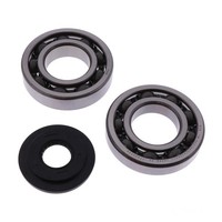 Kurbelwellenlager Satz Athena P400210444139 FüR Honda FES 150 A S-Wing ABS 07-09