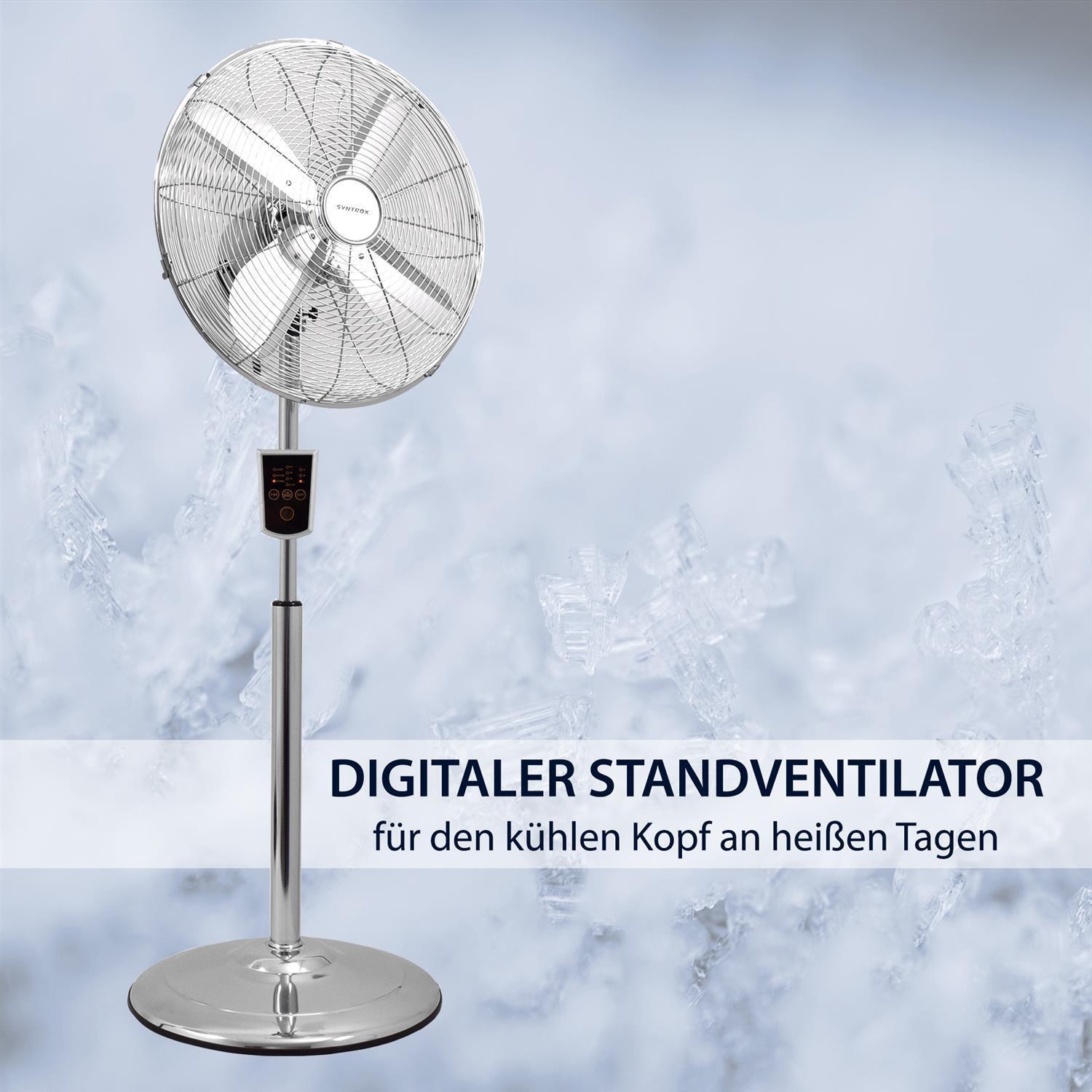 Bild 6 von 7