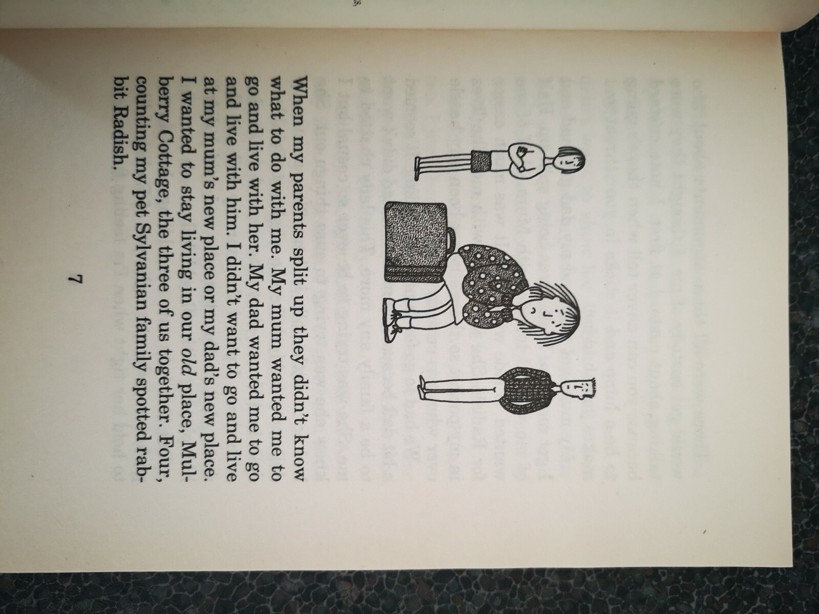 The Suitcase Kid by Jacqueline Wilson (Paperback, 1993) for sale online eBay