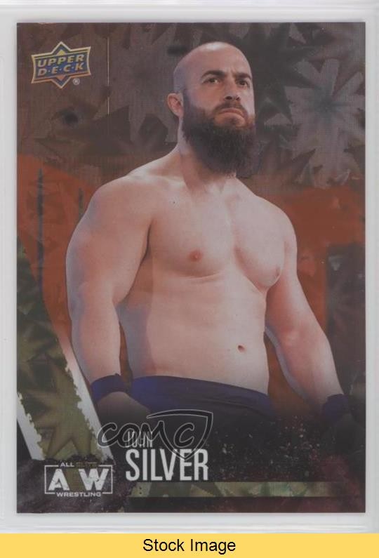 2021 Upper Deck AEW All Elite Wrestling Dynamite John Silver Rookie RC READ 0w6