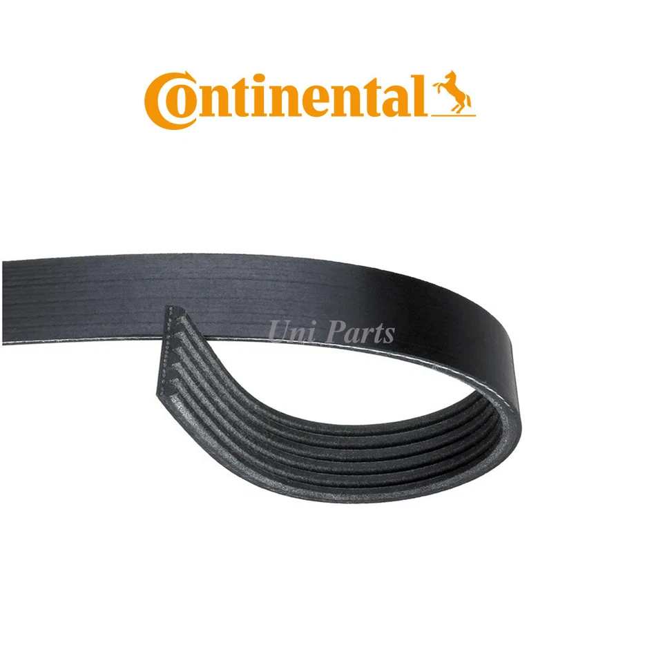 Cinturón Continental 11287542864 para BMW 650i 2005-2010 4,8 L 740i 2005-2008 4,0 L OEM Foto 3 de 4