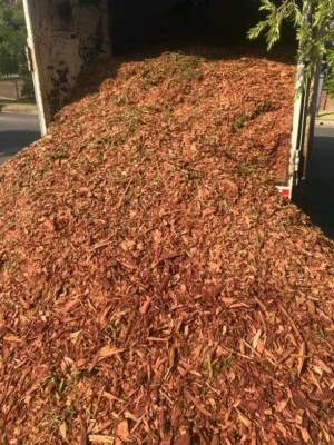 Free Mulch Delivered Landscaping Gardening Gumtree Australia Inner Sydney Sydney City 1238099708