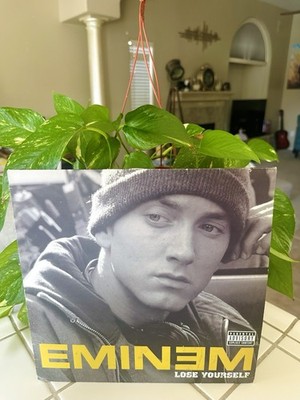 Eminem Lose Yourself 8 Mile アナログレコード s-l400.jpg