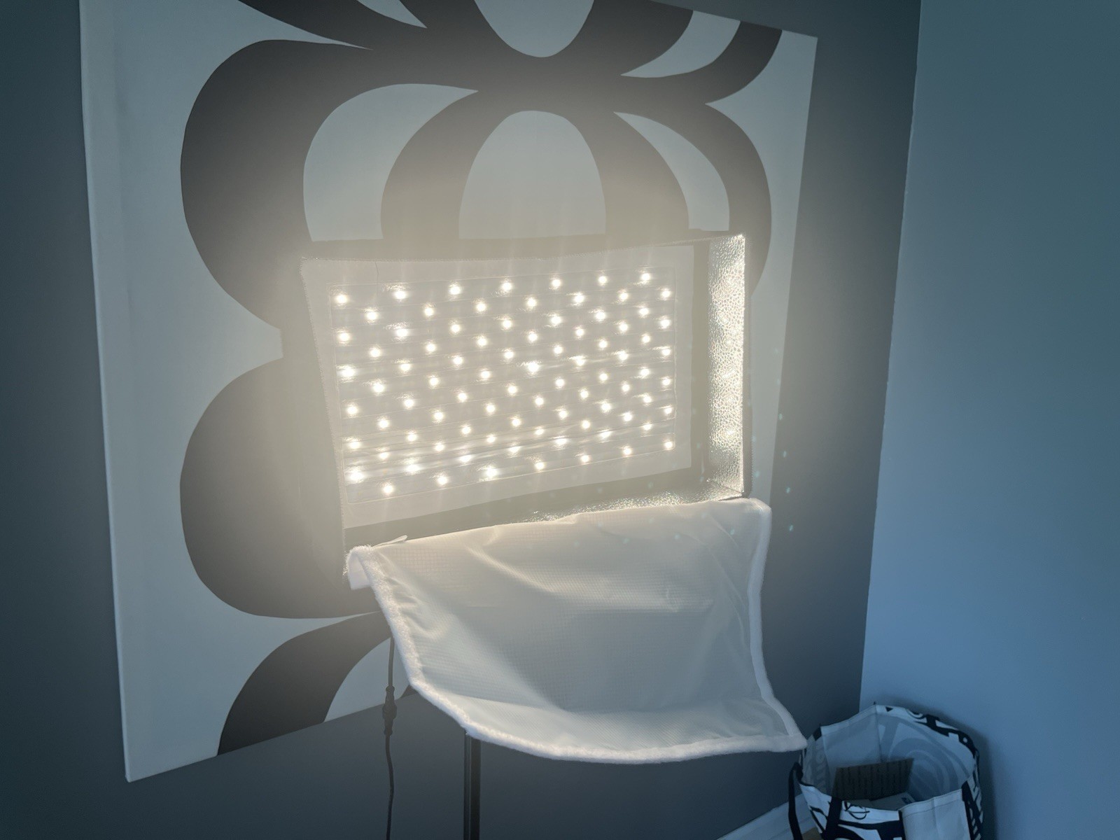 Fositan Remote Control Studio Photography Light Softbox Kit Continuous Lighting