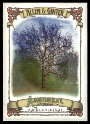 2021 Topps Allen & Ginter #AA-6 Horse Chestnut    Arboreal Appreciation