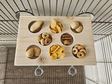 Treat Ledge & Hooks (8 Holes) - Cage Accessories Platform Shelf Rat Bird Rabbit