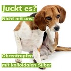 Bild 3 von 10