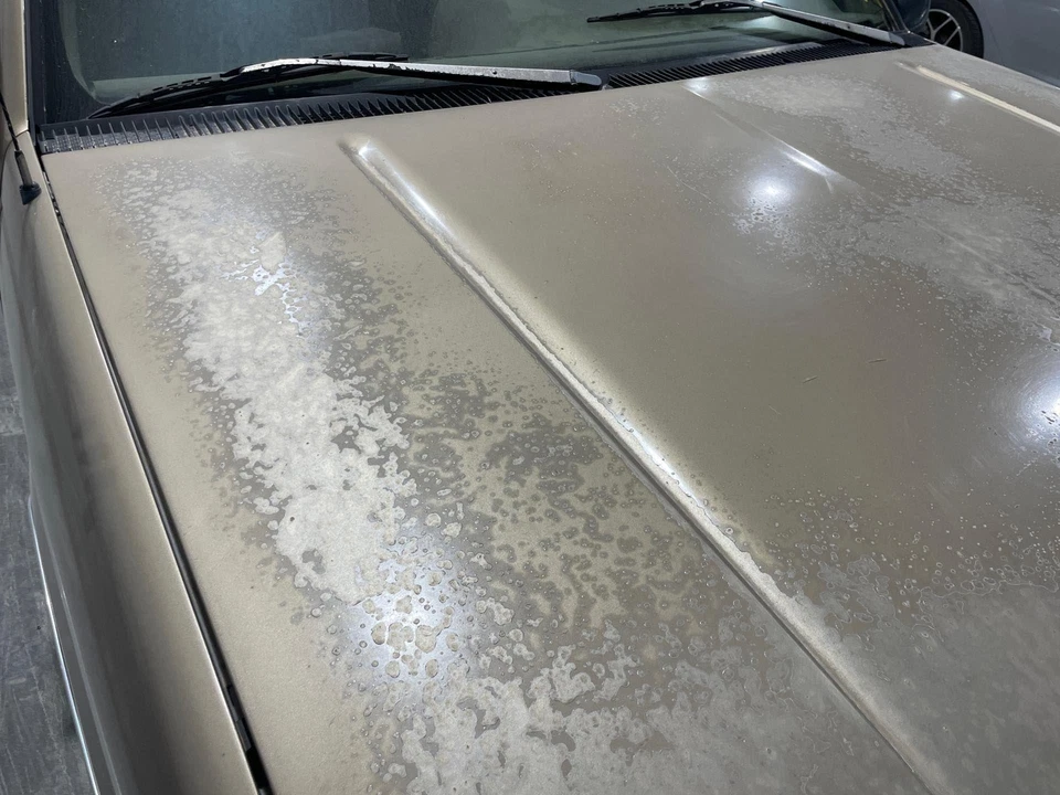 1992 - 1999 Chevy Suburban 1500 Autumnwood Metallic-55U Hood Panel Foto 2 de 4