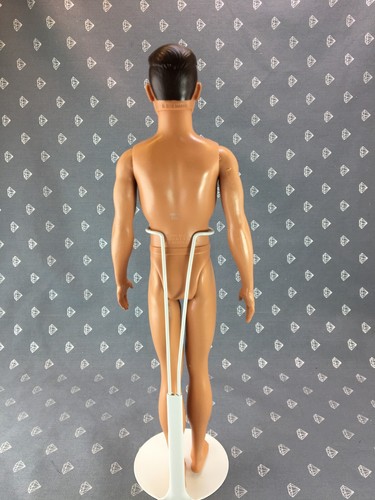 15 -- BB18 Ethnic Arab Ken Barbie Boyfriend - Picture 4 of 7