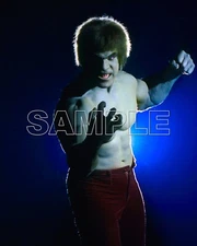 INCREDIBLE HULK 8X10 Photo 08 LOU FERRIGNO