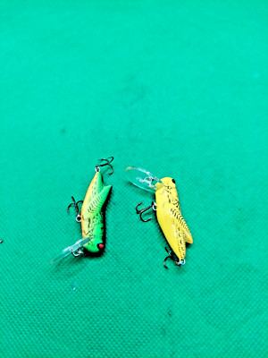 Rebel cricket lures for panfish or Bass fishing, crankbaits.