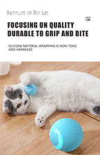 Power Ball Cat Dog Interactive Ball Smart Toys Indoor Rollin catnip juguete gata