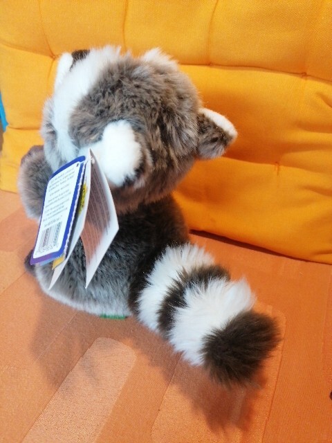 Bild 8 von 19