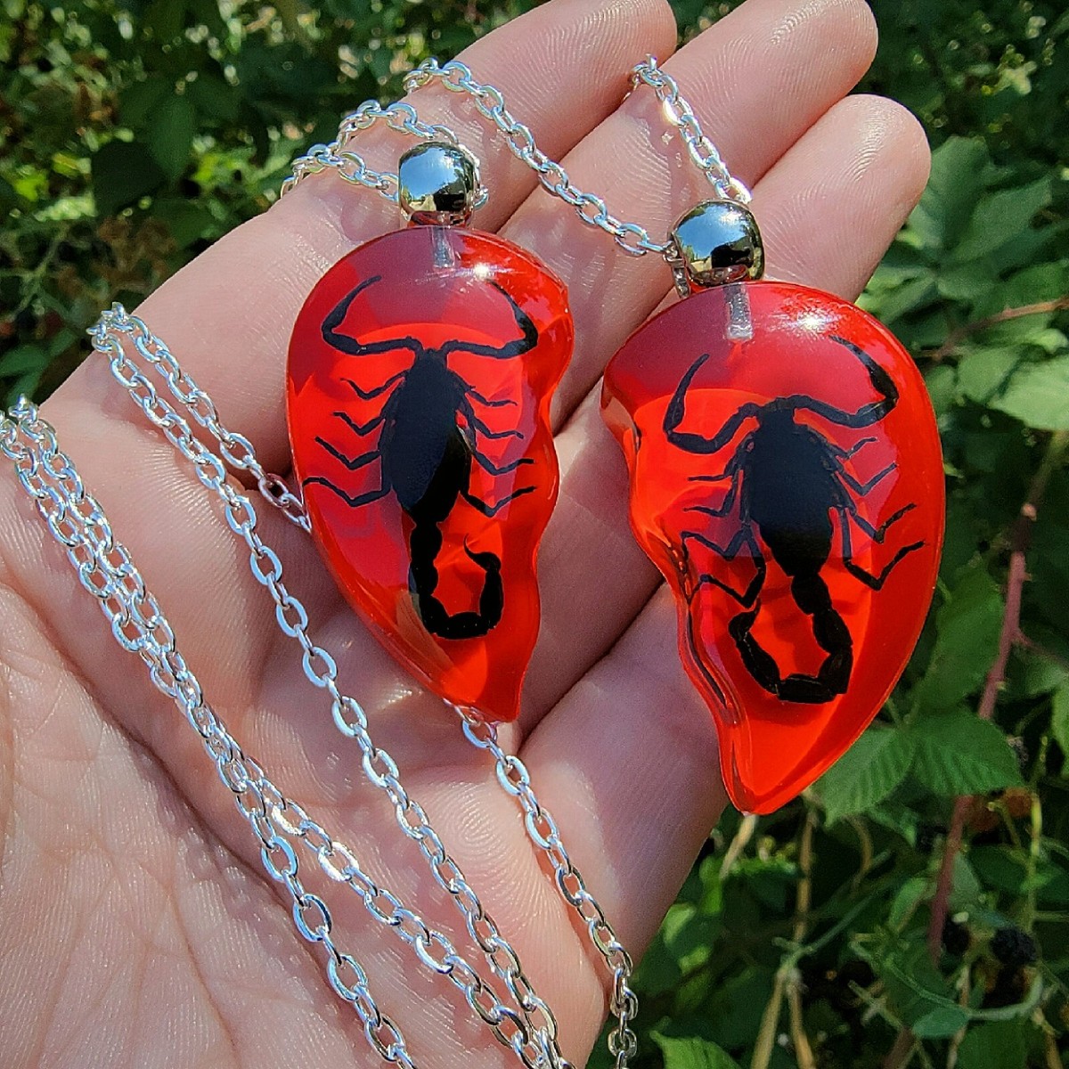 Red Heart Scorpion Set, Halves Real Insect Jewelry, Heterometrus