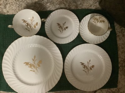 John Aynsley - Dinner set for 12 (48) - bONE China - Golden Wheat 8241