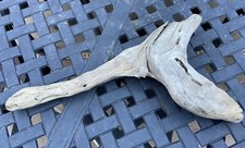 Nice 20X10 Natural Driftwood Root Fresh Water Centerpiece Terrarium Taxidermy