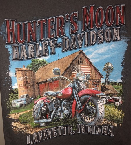 Gray Graphic Printed Harley Davidson T Shirt Women’s Oversize Sz Small - 第 6/8 張圖片