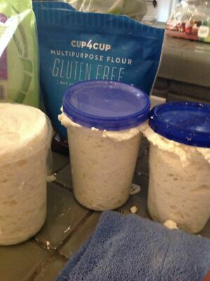 Glutenfrei SAUERTEIGBROT STARTER Hefe San Francisco SAMMY plus Rezepte NEU z