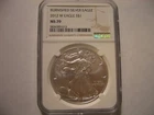 2012-W  Burnished - Silver Eagle   NGC MS-70
