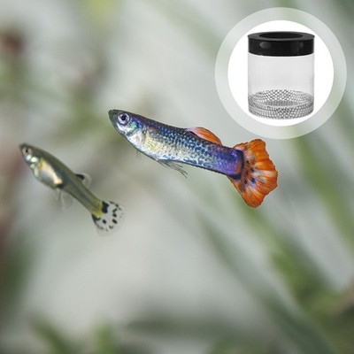  Aquarien-zuchtbox Fischzuchtkästen Baby Fischabscheider Aquarium