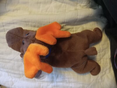 TY Beanie Baby Chocolate the Moose missing tush tag 