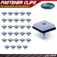 30Pcs Nylon Rocker & Exterior Trim Moulding Grommet Retainer Clips for Hyundai