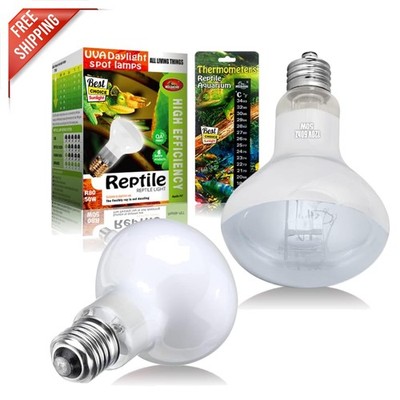 Efficient 100W UVA Basking Lamps for Reptiles - Includes Digital Thermometer