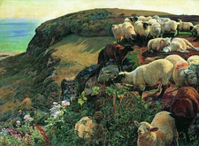 HAND PAINTED ART Oil painting Our English Coast with sheep in landscape by ocean