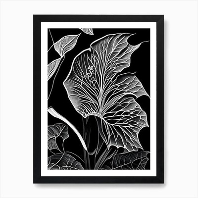 Morning Glory Blatt Linolschnitt 1 Kunst Pr gerahmtes Wandbild Poster Leinwanddruck Bild