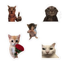 5 Funny Meme Cat Die-Cut Vinyl StickersLaptop Phone Decal Set
