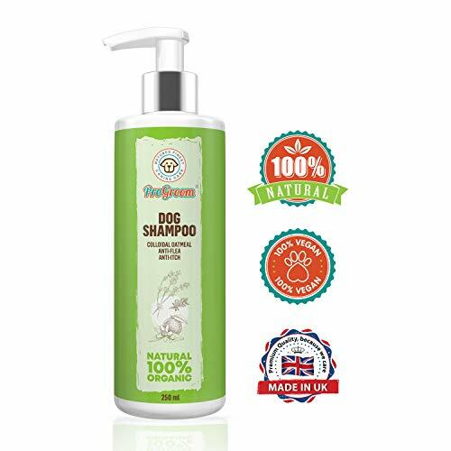 progroom dog shampoo