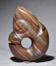 2.2" Old Chinese Hongshan culture Red agate Carving Pig Dragon Amulet Pendant