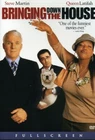 Bringing Down the House (DVD, 2003)