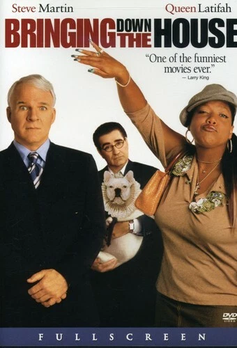 Bringing Down the House (DVD, 2003)