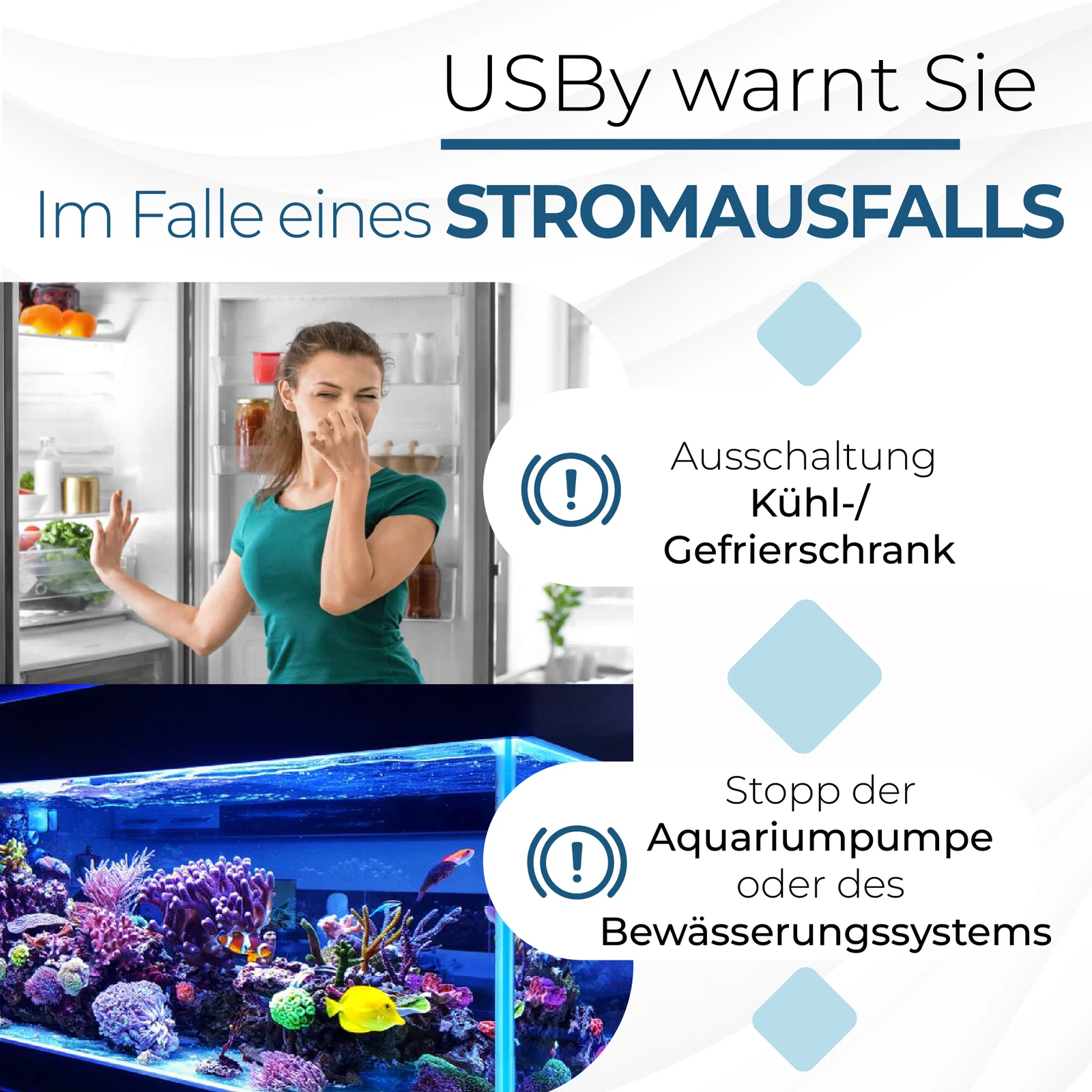 Bild 2 von 12