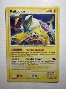 Raikou 16 132 | eBay