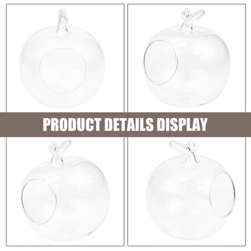 Glass Apple Shape Moss Terrarium Vase Transparent Decorative Container ...