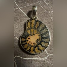 Ammonite Fossil Pendant Sterling Silver Natural Shell Spiral Statement