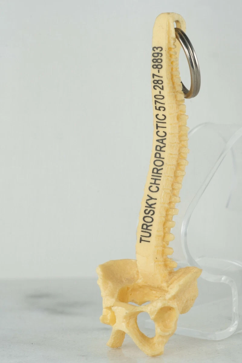 Spine keychain deals bulk