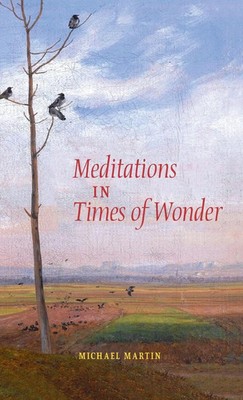 Michael Martin | Meditations in Times of Wonder | Buch | Englisch (2014)