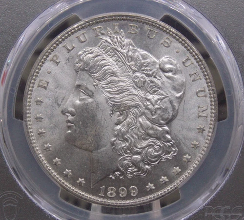 1899 "P" Morgan SILVER Dollar $1 PCGS MS64 #677 Unc BU Uncirculated ECC&C, Inc.