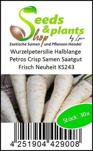30x Wurzelpetersilie Halblange Petros Crisp Garten Pflanzen - Samen KS243 - Picture 3 of 5