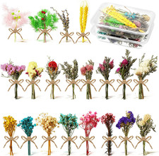 20 Pcs Mini Dried Flowers Bouquets Natural Gypsophila Don'T Forget Me Flower Bou