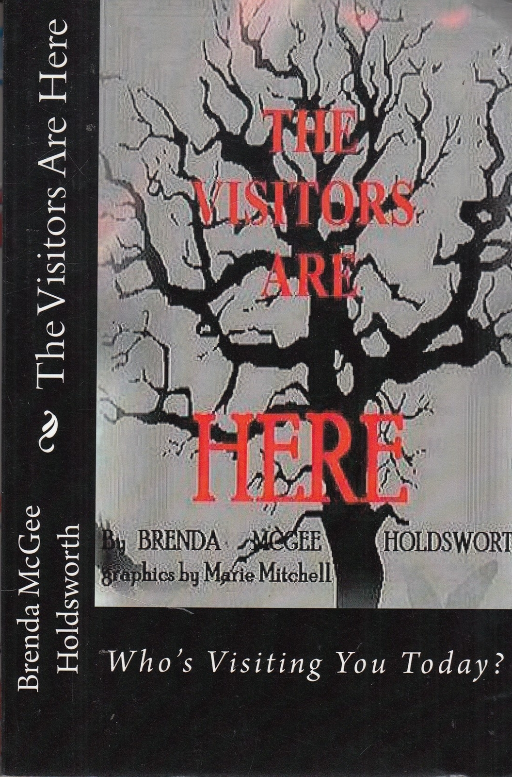 The Visitors Are Here: Whos Visiting You Today?... - Brenda McGee Holdsworth ...