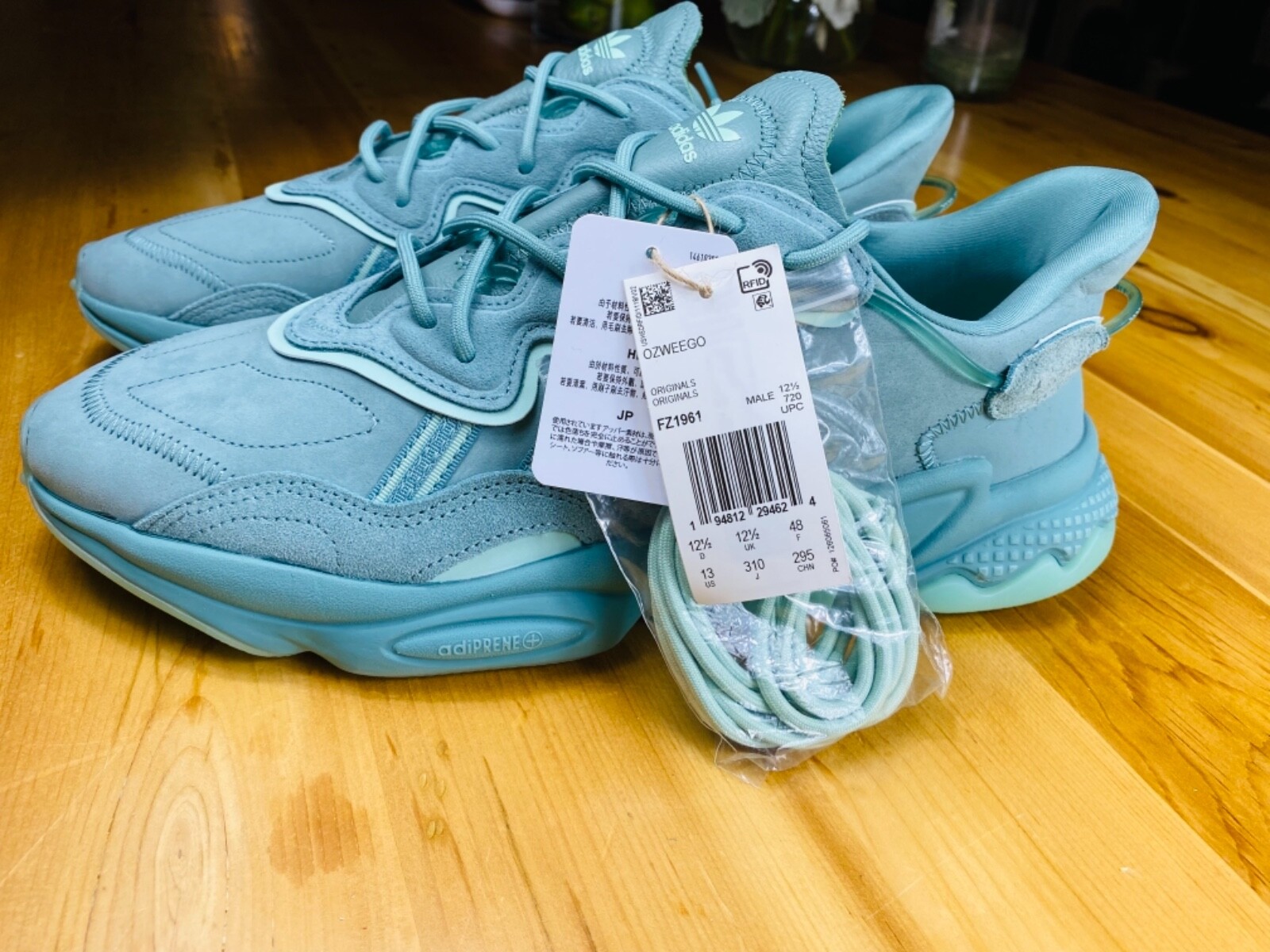 Size 13 - adidas Ozweego Vapour Steel 